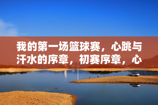 我的第一场篮球赛，心跳与汗水的序章，初赛序章，心跳与汗水