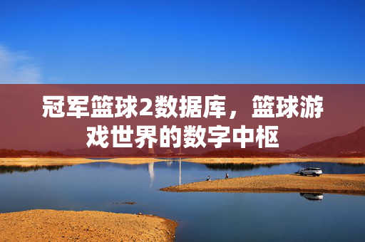 冠军篮球2数据库，篮球游戏世界的数字中枢