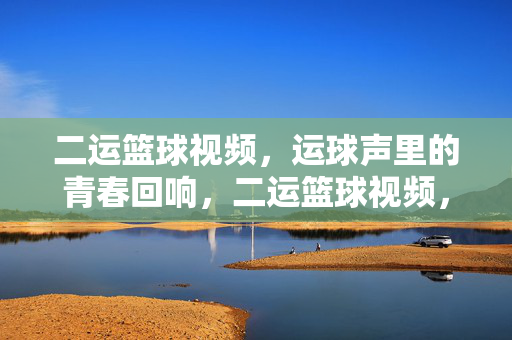 二运篮球视频，运球声里的青春回响，二运篮球视频，运球声里的青春回响