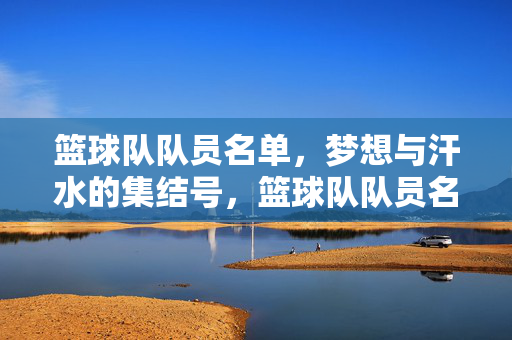 篮球队队员名单，梦想与汗水的集结号，篮球队队员名单，梦想与汗水的集结号