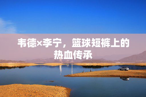 韦德×李宁，篮球短裤上的热血传承