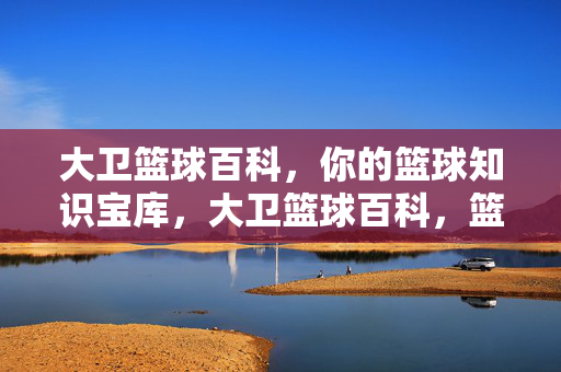 大卫篮球百科，你的篮球知识宝库，大卫篮球百科，篮球知识宝库