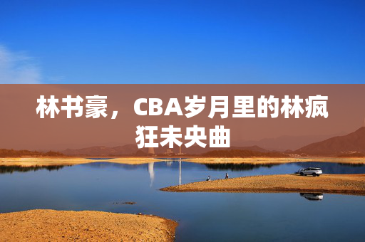 林书豪，CBA岁月里的林疯狂未央曲