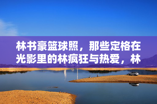 林书豪篮球照，那些定格在光影里的林疯狂与热爱，林书豪篮球照，光影定格的林疯狂与热爱
