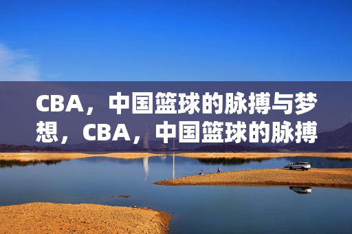 CBA,中国篮球的脉搏与梦想,CBA,中国篮球的脉搏与梦想