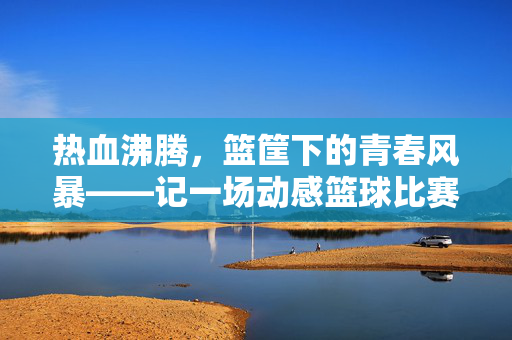 热血沸腾，篮筐下的青春风暴——记一场动感篮球比赛，热血青春，篮筐风暴