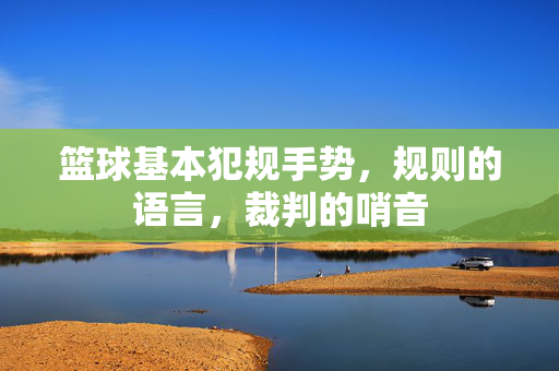 篮球基本犯规手势，规则的语言，裁判的哨音