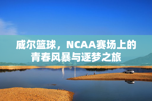 威尔篮球，NCAA赛场上的青春风暴与逐梦之旅