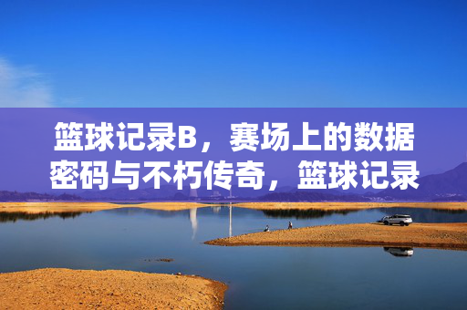 篮球记录B,赛场上的数据密码与不朽传奇,篮球记录B,赛场数据密码与不朽传奇