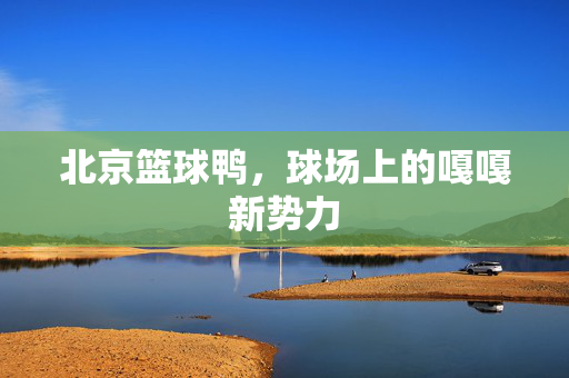 北京篮球鸭,球场上的嘎嘎新势力