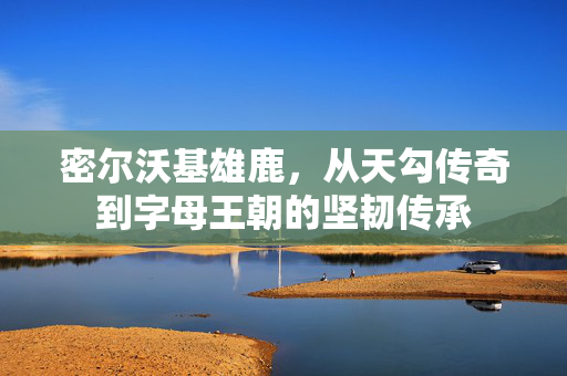 密尔沃基雄鹿，从天勾传奇到字母王朝的坚韧传承