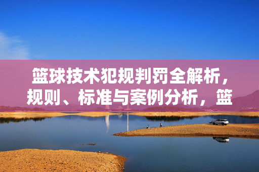 篮球技术犯规判罚全解析,规则、标准与案例分析,篮球技术犯规判罚全解析