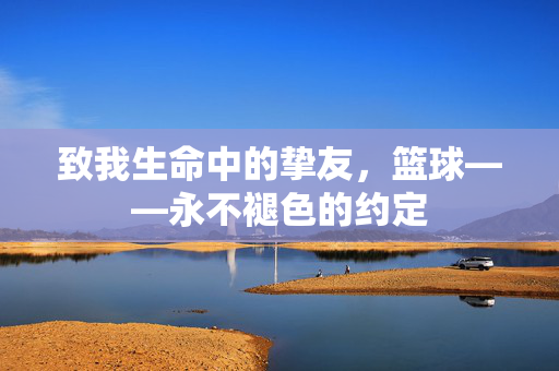致我生命中的挚友，篮球——永不褪色的约定