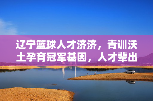 辽宁篮球人才济济，青训沃土孕育冠军基因，人才辈出非虚言，辽宁篮球青训沃土育才 冠军基因人才辈出