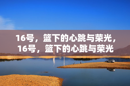 16号，篮下的心跳与荣光，16号，篮下的心跳与荣光