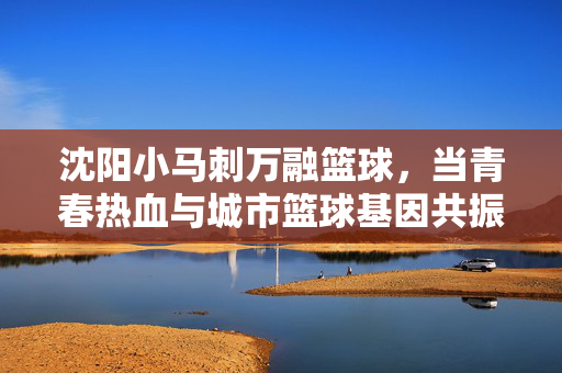 沈阳小马刺万融篮球，当青春热血与城市篮球基因共振，沈阳小马刺万融篮球，青春热血与城市篮球基因共振