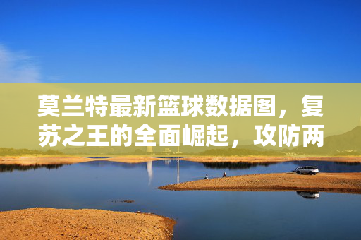 莫兰特最新篮球数据图，复苏之王的全面崛起，攻防两端尽显核心价值，莫兰特，复苏之王的全面崛起，攻防尽显核心价值