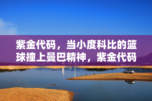 紫金代码，当小度科比的篮球撞上曼巴精神，紫金代码，小度科比篮球撞响曼巴精神