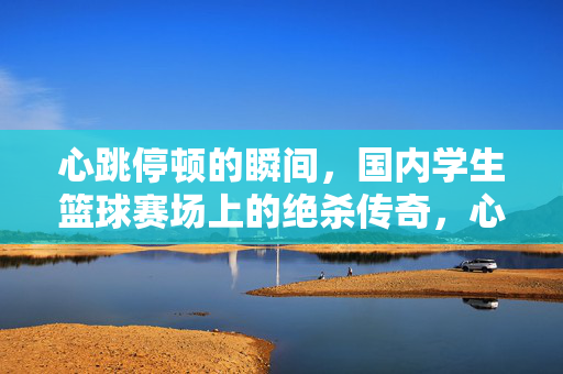 心跳停顿的瞬间，国内学生篮球赛场上的绝杀传奇，心跳停顿的瞬间，国内学生篮球赛场绝杀传奇