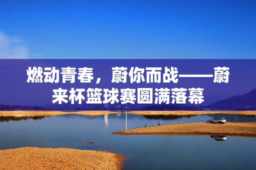 燃动青春，蔚你而战——蔚来杯篮球赛圆满落幕