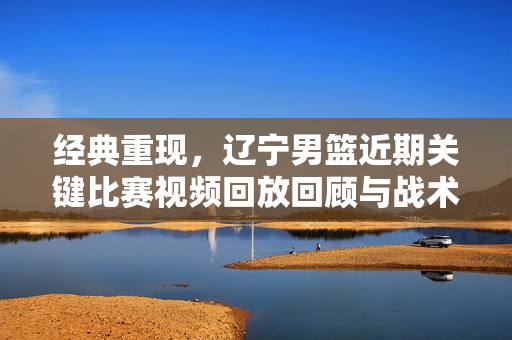 经典重现，辽宁男篮近期关键比赛视频回放回顾与战术解析，经典重现，辽宁男篮近期关键比赛视频回放与战术解析