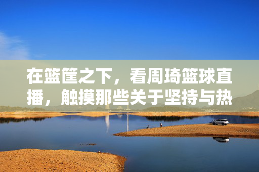 在篮筐之下，看周琦篮球直播，触摸那些关于坚持与热爱的答案，篮筐之下，周琦直播里的坚持与热爱