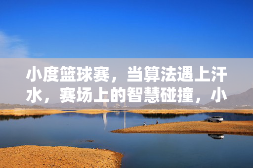小度篮球赛，当算法遇上汗水，赛场上的智慧碰撞，小度篮球赛，算法与汗水的智慧碰撞