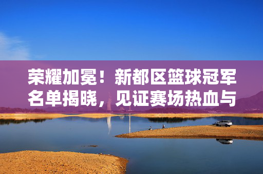 荣耀加冕!新都区篮球冠军名单揭晓,见证赛场热血与拼搏,荣耀加冕!新都区篮球冠军名单揭晓,见证赛场热血拼搏