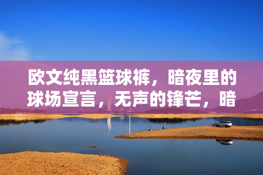 欧文纯黑篮球裤，暗夜里的球场宣言，无声的锋芒，暗夜无声锋芒，欧文纯黑篮球裤