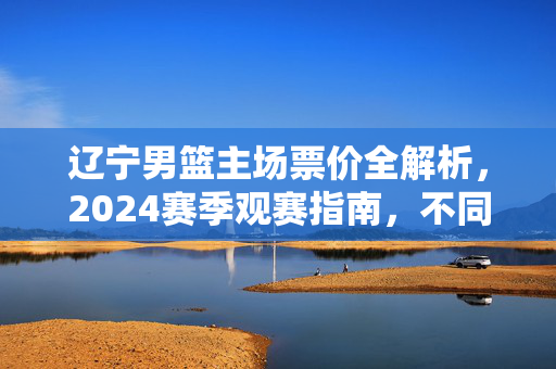 辽宁男篮主场票价全解析，2024赛季观赛指南，不同区域价格一览