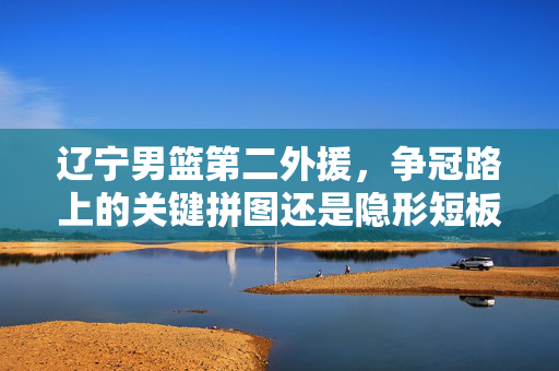 辽宁男篮第二外援,争冠路上的关键拼图还是隐形短板?辽宁男篮第二外援,争冠路上的关键拼图还是隐形短板?