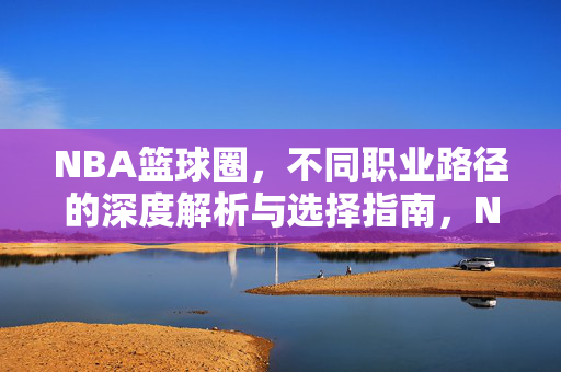 NBA篮球圈，不同职业路径的深度解析与选择指南，NBA篮球圈职业路径，深度解析与选择指南