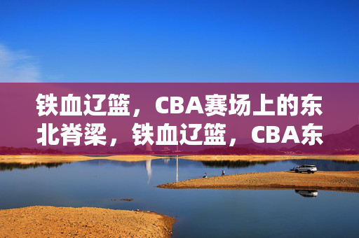 铁血辽篮，CBA赛场上的东北脊梁，铁血辽篮，CBA东北脊梁