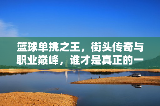 篮球单挑之王，街头传奇与职业巅峰，谁才是真正的一对一王者？篮球单挑，街头传奇与职业巅峰，谁是一对一王者？