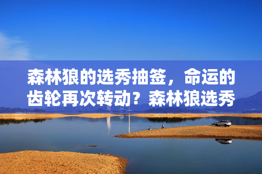 森林狼的选秀抽签，命运的齿轮再次转动？森林狼选秀抽签，命运齿轮再次转动？
