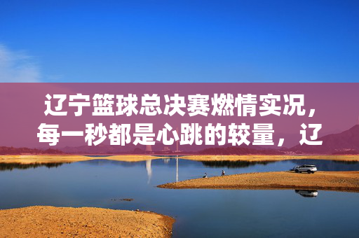 辽宁篮球总决赛燃情实况，每一秒都是心跳的较量，辽宁总决赛，每一秒心跳较量