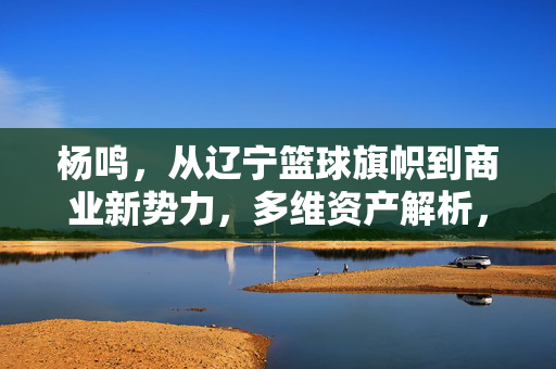 杨鸣，从辽宁篮球旗帜到商业新势力，多维资产解析，杨鸣，从辽宁篮球旗帜到商业新势力的多维资产解析