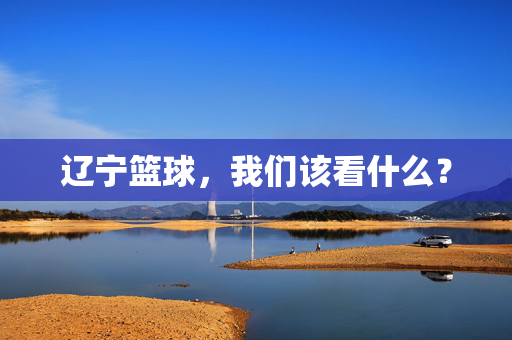 辽宁篮球，我们该看什么？