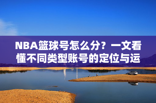 NBA篮球号怎么分？一文看懂不同类型账号的定位与运营方向，NBA篮球号分类指南，不同类型账号定位与运营方向