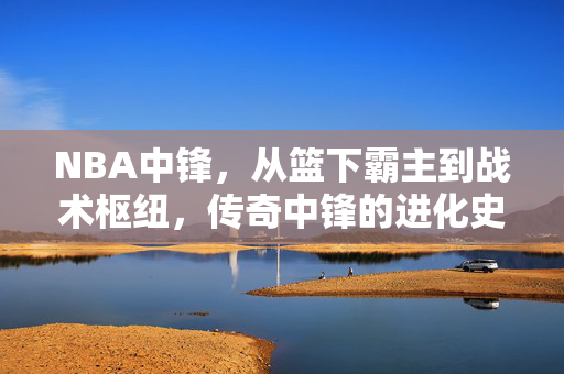 NBA中锋，从篮下霸主到战术枢纽，传奇中锋的进化史，NBA中锋进化史，从篮下霸主到战术枢纽