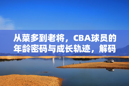 从菜多到老将,CBA球员的年龄密码与成长轨迹,解码CBA球员年龄密码,从菜鸟到老将的成长轨迹