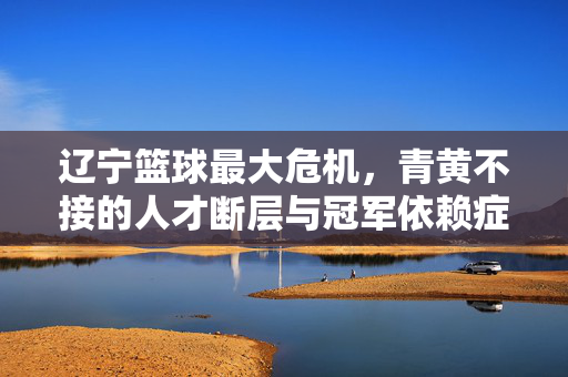 辽宁篮球最大危机，青黄不接的人才断层与冠军依赖症的双重困局，辽宁篮球最大危机，青黄不接与冠军依赖症的双重困局