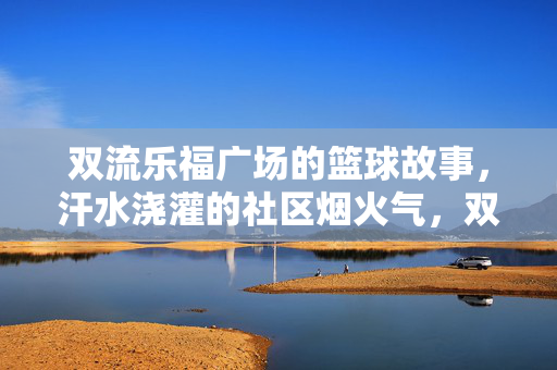 双流乐福广场的篮球故事，汗水浇灌的社区烟火气，双流乐福广场，篮球故事里的社区烟火气