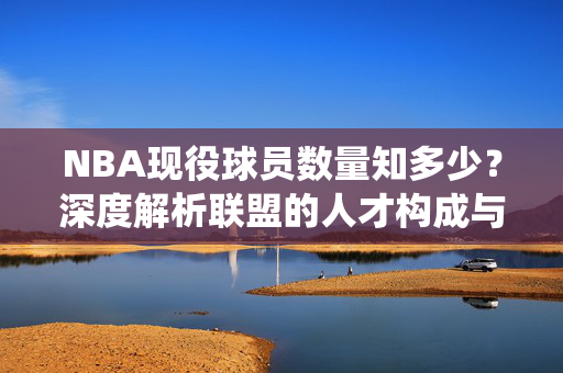 NBA现役球员数量知多少？深度解析联盟的人才构成与流动生态，NBA现役球员数量，人才构成与流动生态解析