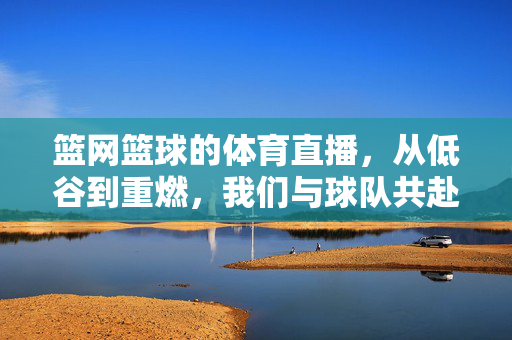 篮网篮球的体育直播,从低谷到重燃,我们与球队共赴的赛场心跳,直播见证,从低谷到重燃,与篮网共赴赛场心跳