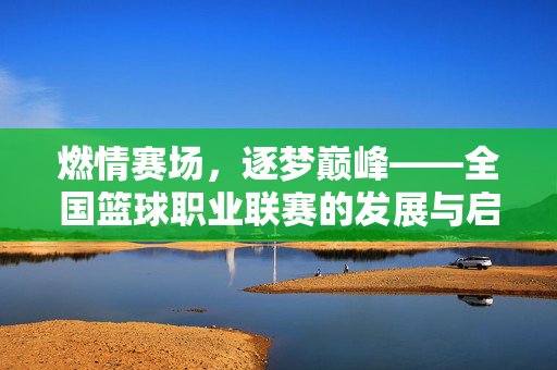 燃情赛场，逐梦巅峰——全国篮球职业联赛的发展与启示，燃情逐梦，全国篮球职业联赛的发展与启示
