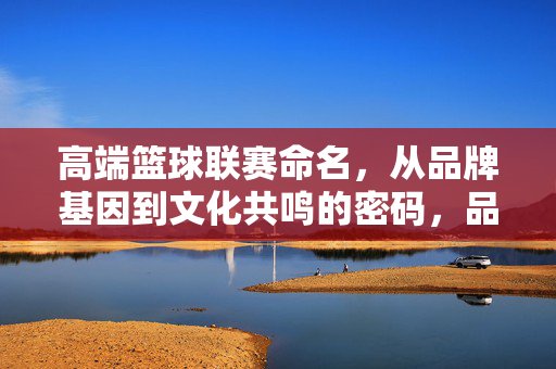 高端篮球联赛命名，从品牌基因到文化共鸣的密码，品牌基因与文化共鸣，高端篮球联赛命名的核心密码