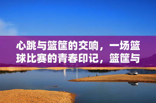 心跳与篮筐的交响，一场篮球比赛的青春印记，篮筐与心跳的青春乐章
