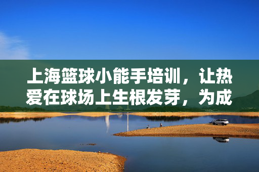 上海篮球小能手培训，让热爱在球场上生根发芽，为成长注入篮动力！上海篮球小能手培训，热爱生根，成长篮动