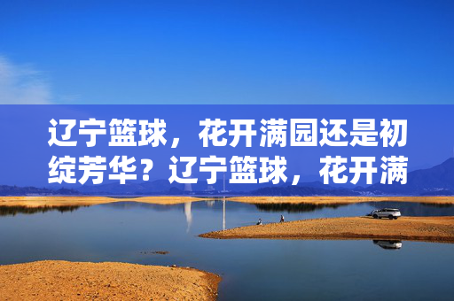 辽宁篮球，花开满园还是初绽芳华？辽宁篮球，花开满园还是初绽芳华？